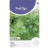 Alsem - Artemisia Absinthium -Groen Hoek Verkoop alsem artemisia absinthium 1646840346 725 600