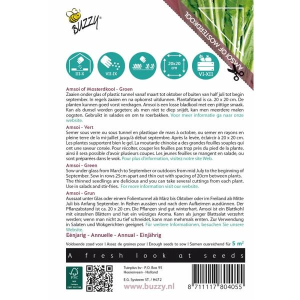 Amsoi Mung Choi Groen - Brassica Juncea Var. Rugosa 3 Amsoi Mung Choi Groen - Brassica Juncea Var. Rugosa - Afbeelding 2