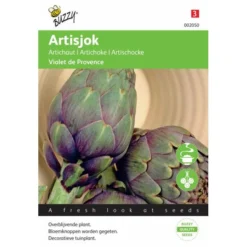 Artisjok Violet De Provence - Cynara Scolymus
