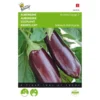 Aubergine Lange Violette - Solanum Melongena 1 Aubergine Lange Violette - Solanum Melongena -Groen Hoek Verkoop aubergine lange violette solanum melongena 1646840315 75 600