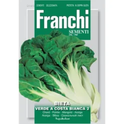 Bietola Verde A Costa Bianca 2 - Groene Snijbiet