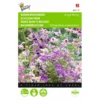 Boerenorchidee Angel Wings - Schizanthus Sinuata Wisetonensis 2 Boerenorchidee Angel Wings - Schizanthus Sinuata Wisetonensis -Groen Hoek Verkoop boerenorchidee angel wings schizanthus sinuata wisetonensis 1646840330 431 600