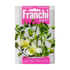 Cappero - Kappertjes