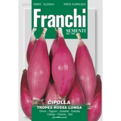 Cipolla Tropea Rossa Lunga - Lange Roze Uien