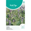 Dropplant - Agastache Mexicana -Groen Hoek Verkoop dropplant agastache mexicana 1646840359 1024 600