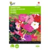 Hangpetunia - Petunia Pendula -Groen Hoek Verkoop hangpetunia petunia pendula 1646840330 423 600