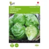 IJssla Great Lakes 118 - Lactuca Sativa -Groen Hoek Verkoop ijssla great lakes 118 lactuca sativa 1646840313 47 600