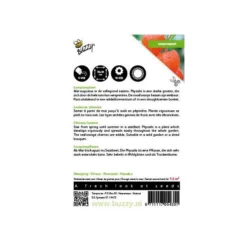 Groen Hoek Verkoop -Groen Hoek Verkoop physalis alkekengi oranje lampionnetjes 1646840337 558 600