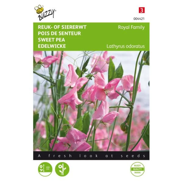 Reukerwt Royal Family Roze - Lathyrus Odoratus 3 Reukerwt Royal Family Roze - Lathyrus Odoratus