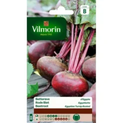 Rode Biet Egyptische