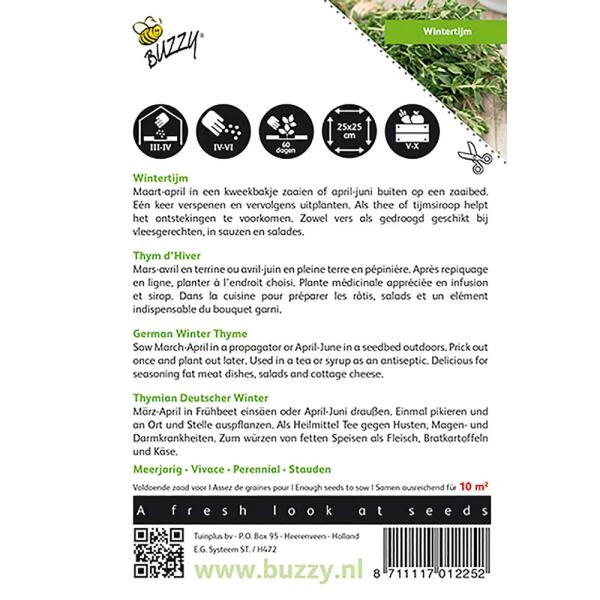 Tijm (wintertijm) - Thymus Vulgaris 3 Tijm (wintertijm) - Thymus Vulgaris - Afbeelding 2
