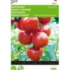 Trostomaten Philippos F1 - Lycopersicon Esculentum -Groen Hoek Verkoop trostomaten philippos f1 lycopersicon esculentum 1646840321 231 600