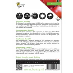 Trostomaten Philippos F1 - Lycopersicon Esculentum -Groen Hoek Verkoop trostomaten philippos f1 lycopersicon esculentum 1646840321 232 600