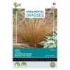 Zegge Bronco - Carex Comans 1 Zegge Bronco - Carex Comans -Groen Hoek Verkoop zegge bronco carex comans 1646840390 1648 600